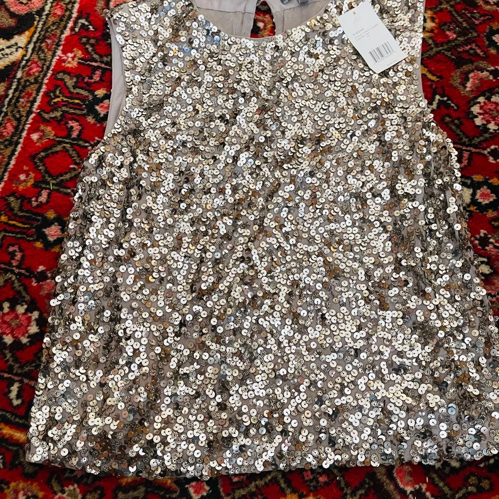 Vince Silver Sequin Sleeveless Top